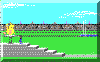 summer.gif (4338 byte)